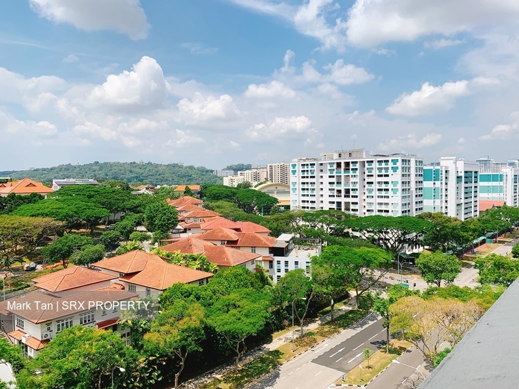 Blk 219 Petir Road (Bukit Panjang), HDB 3 Rooms #199043782